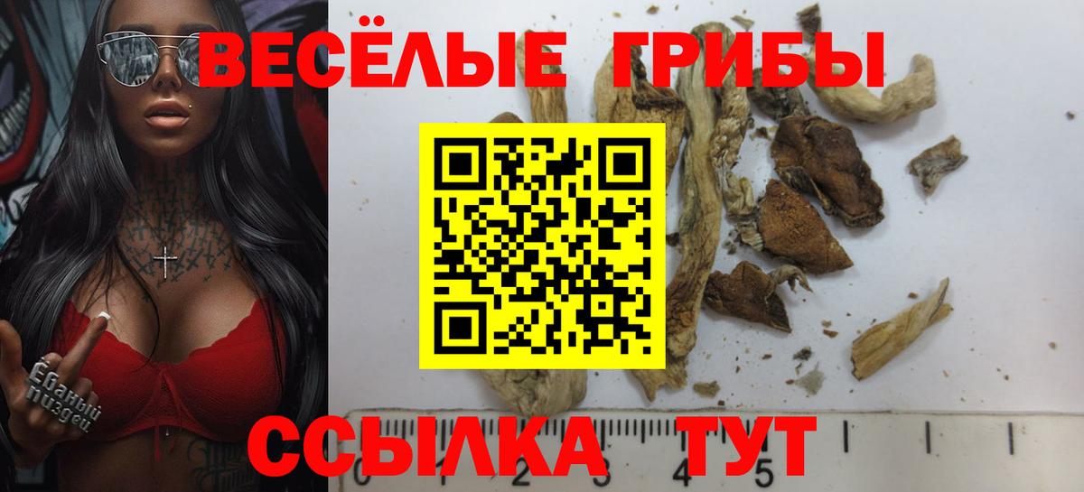 Мурино  Псилоцибиновые грибы ЛСД  Псилоцибиновые грибы GOLDEN TEACHER  Вход с VPN 