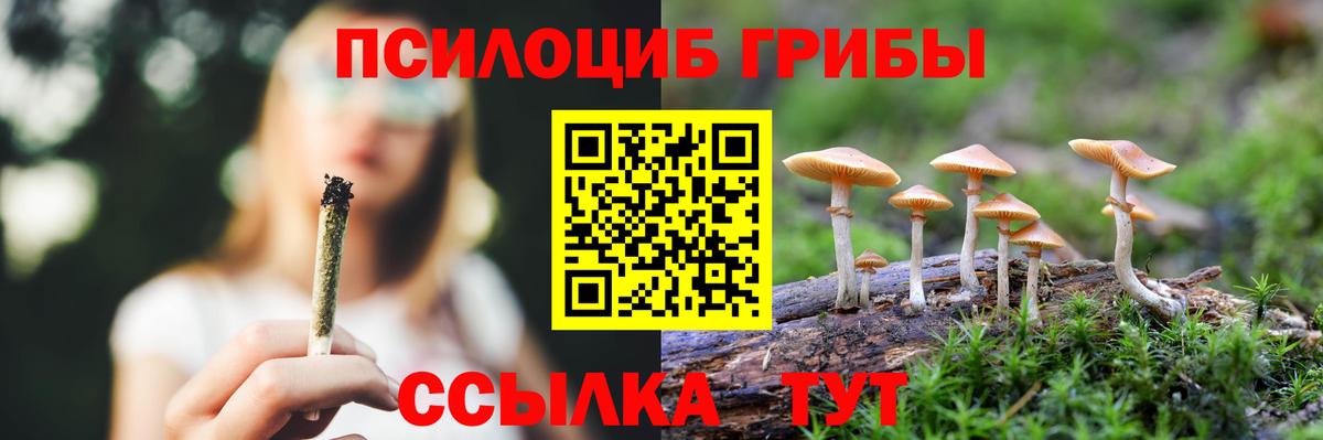 Галлюциногенные грибы Psilocybine cubensis Мурино