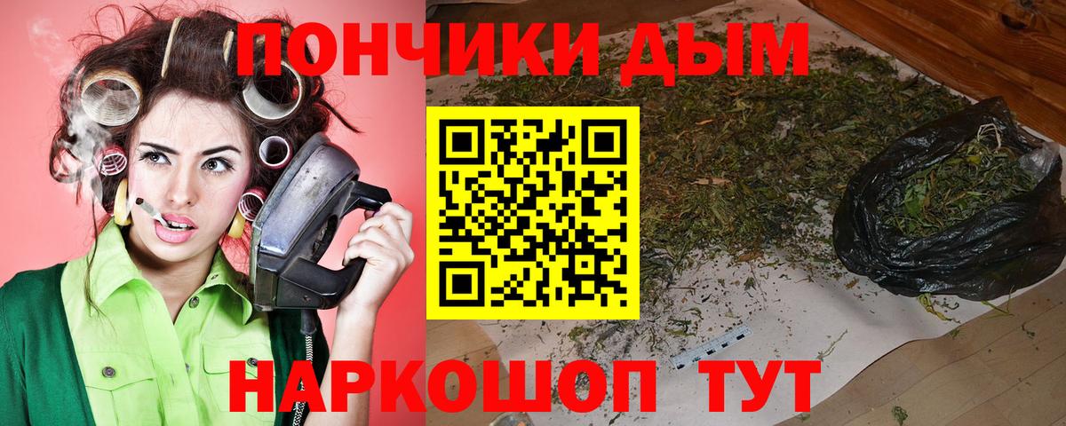 Конопля индика Мурино